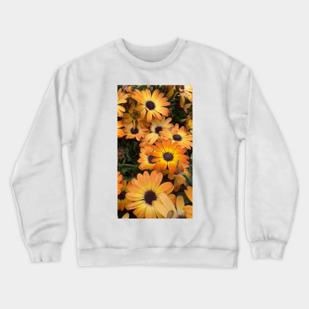Orange Daisies Crewneck Sweatshirt by ElisabethFriday